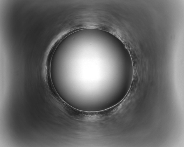 X0000098110342200804111059