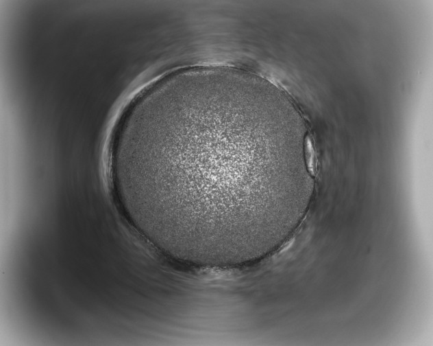 X0000098110343200804111059