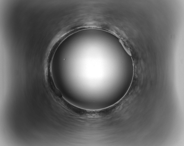 X0000098110344200804111059