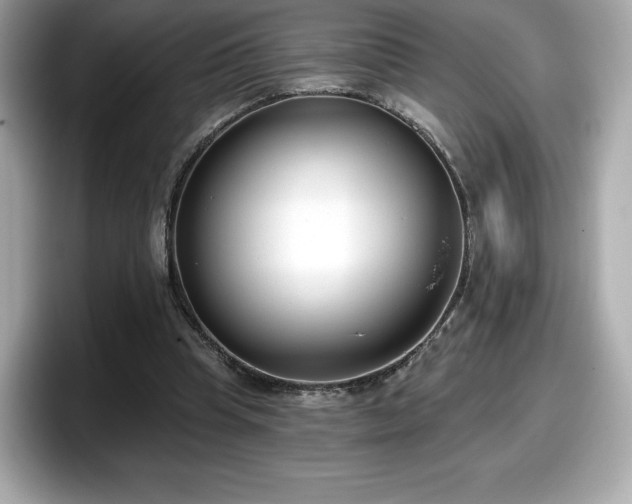 X0000098110345200804111059