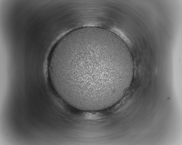 X0000098110346200804111059