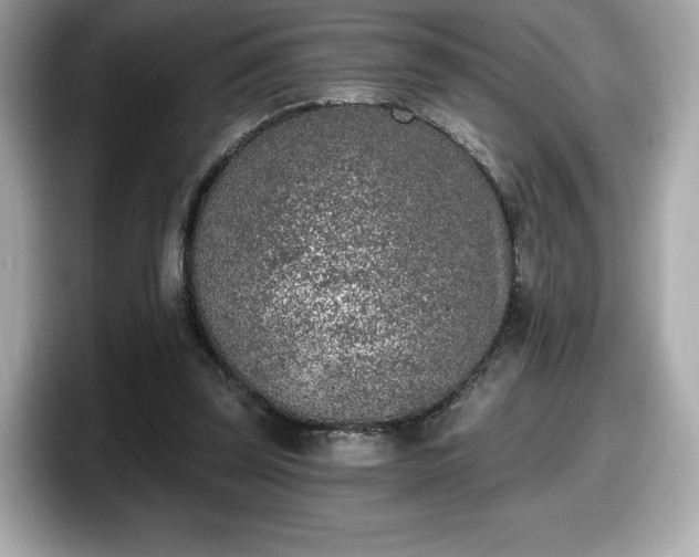 X0000098110347200804111059