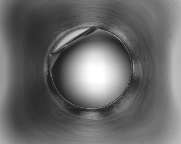 X0000098110348200804111059