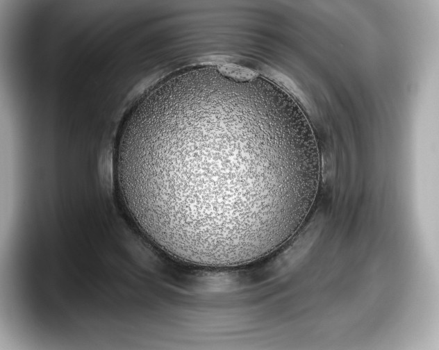 X0000098110349200804111059