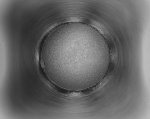 X0000098110350200804111100