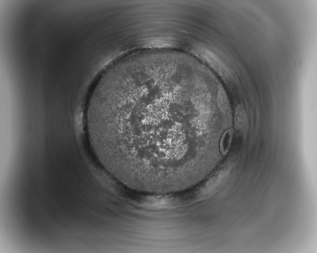 X0000098110351200804111100