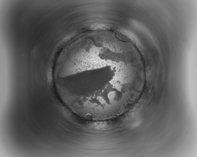 X0000098110353200804111100