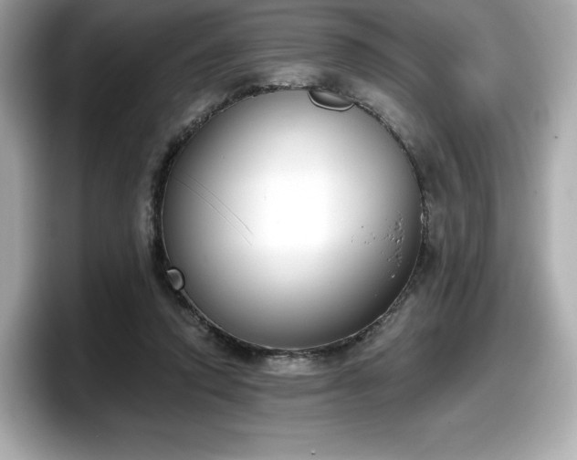 X0000098110354200804111100