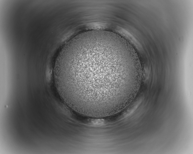 X0000098110355200804111100