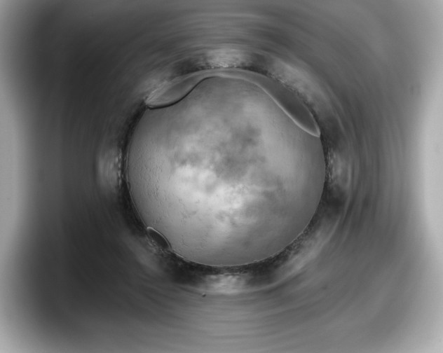 X0000098110356200804111100
