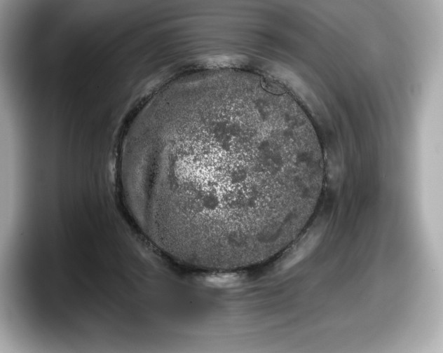 X0000098110357200804111100