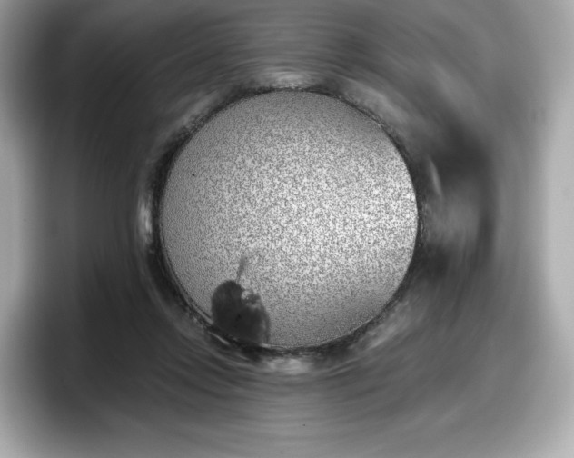 X0000098110358200804111100