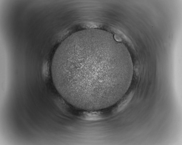 X0000098110359200804111100