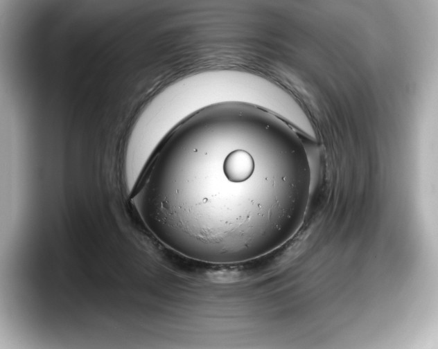 X0000098110362200804111100