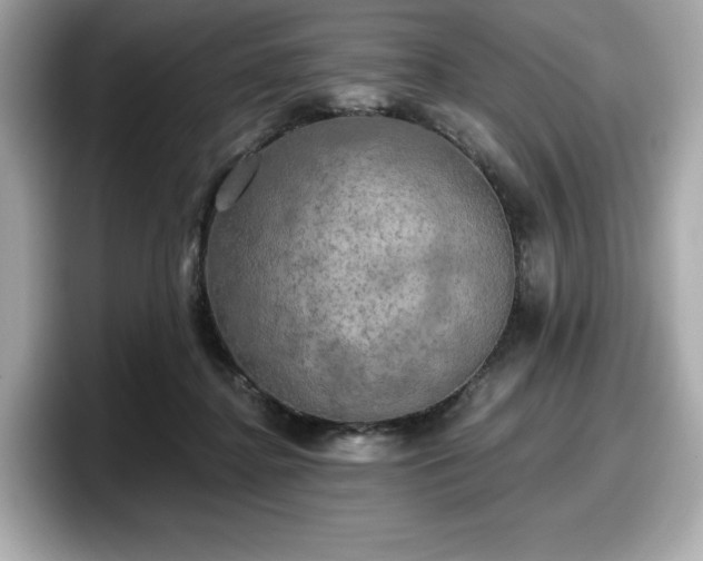 X0000098110364200804111100