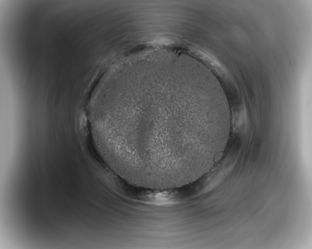 X0000098110365200804111100