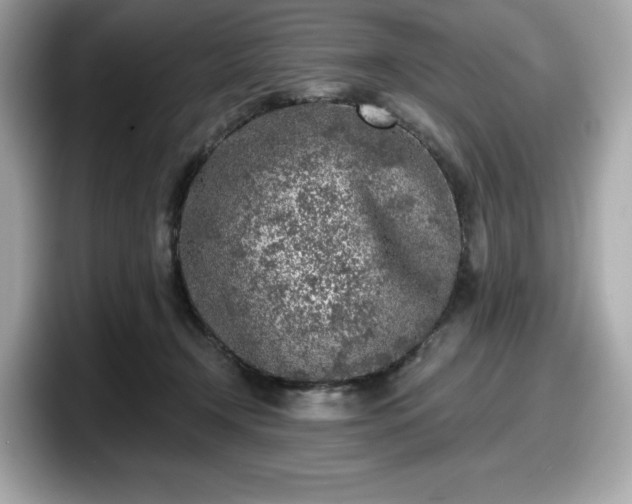 X0000098110366200804111100