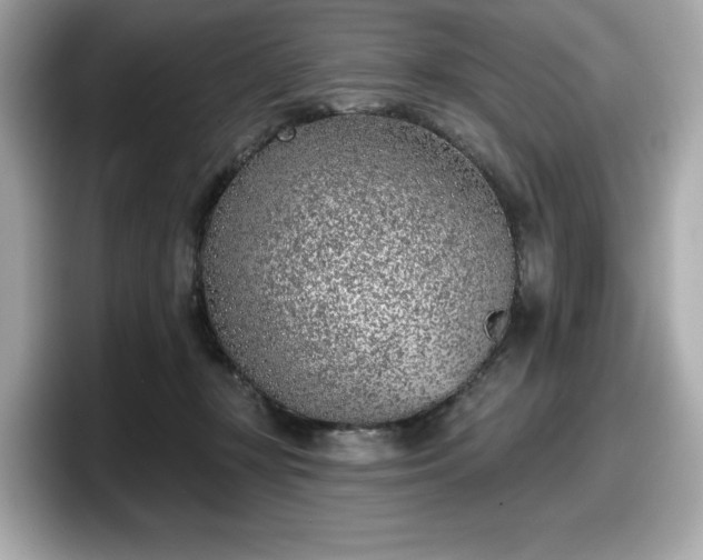 X0000098110367200804111100
