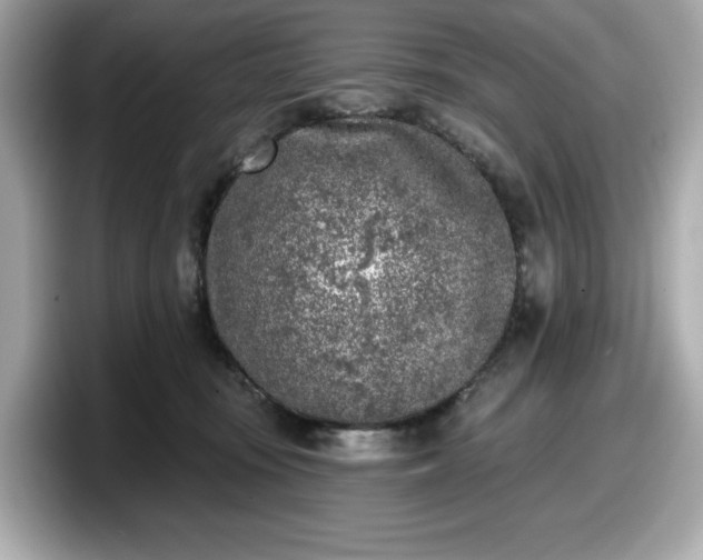 X0000098110371200804111100