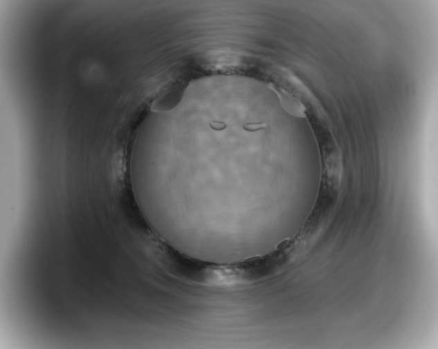 X0000098110372200804111100
