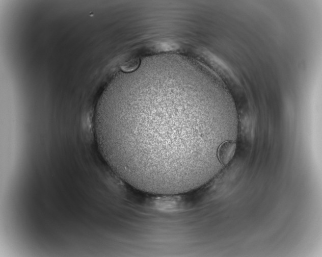 X0000098110373200804111100