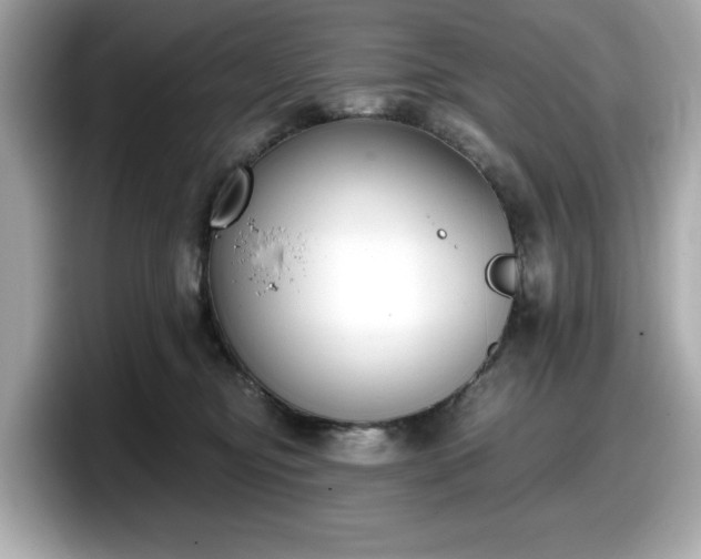 X0000098110374200804111100