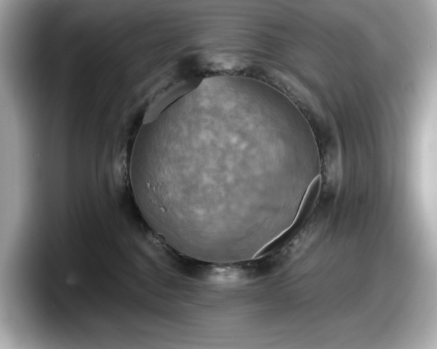 X0000098110376200804111100