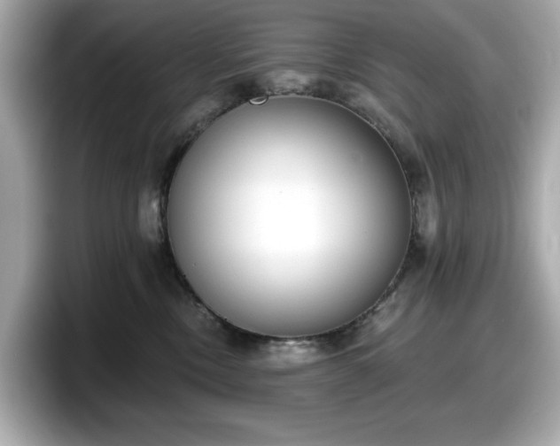 X0000098110378200804111100