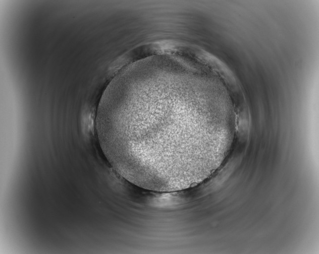 X0000098110382200804111100