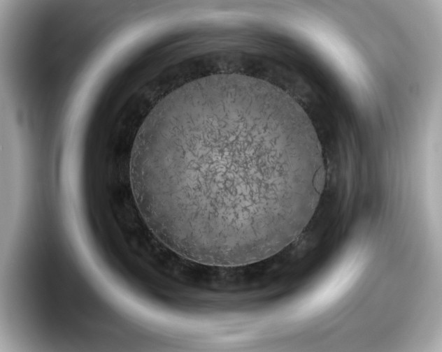 X0000098110383200804111100