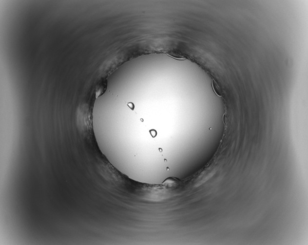 X0000098110384200804111100