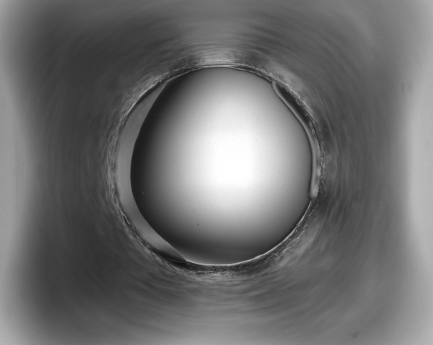 X0000098110385200804111059