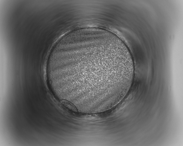 X0000098110386200804111059