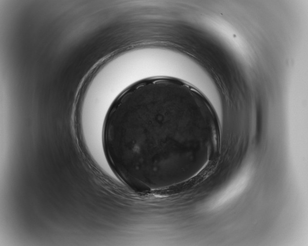 X0000098110387200804111059