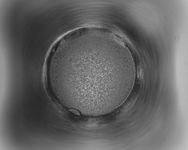 X0000098110388200804111059