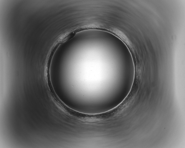 X0000098110389200804111059