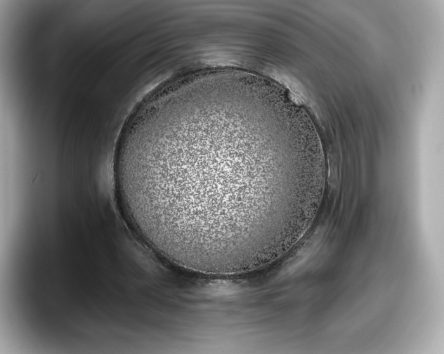 X0000098110390200804111059