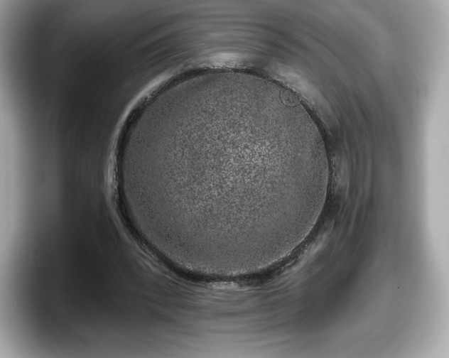 X0000098110392200804111059