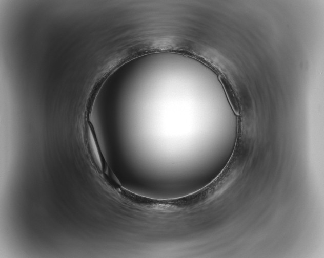 X0000098110393200804111059