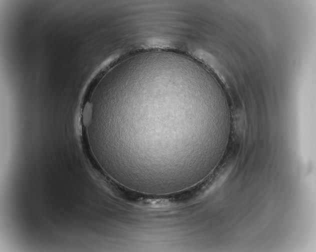 X0000098110395200804111059