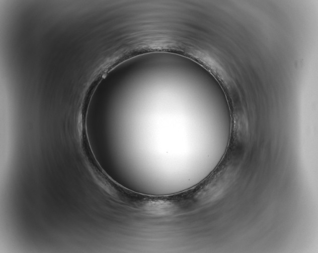 X0000098110397200804111059