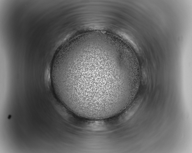 X0000098110398200804111059