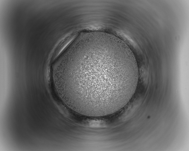X0000098110400200804111059