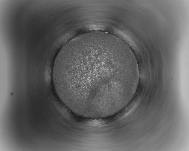 X0000098110402200804111059