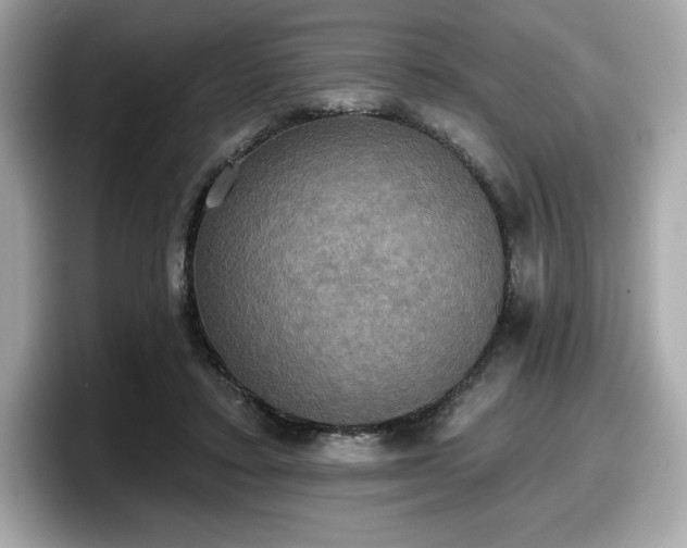 X0000098110403200804111059