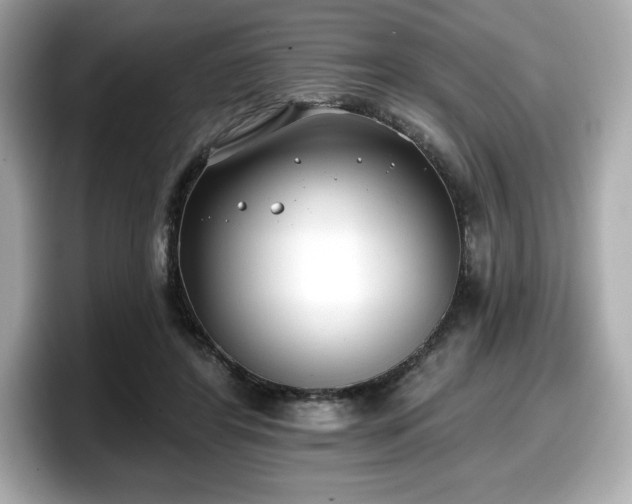 X0000098110404200804111059