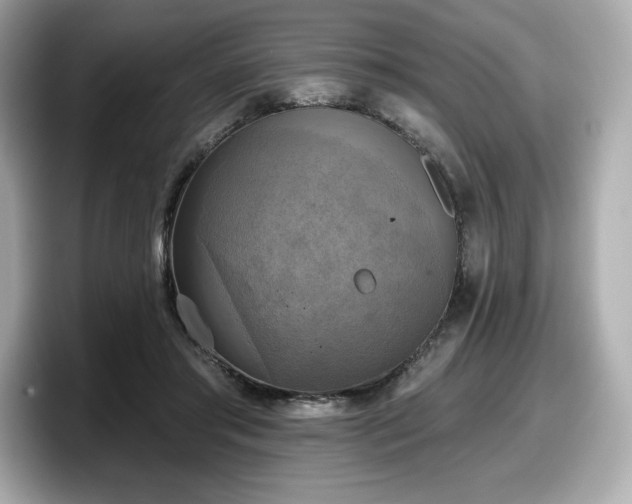 X0000098110405200804111059