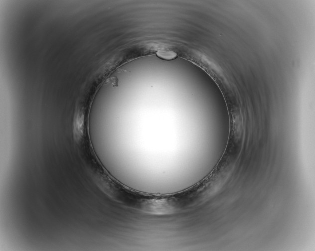 X0000098110406200804111059