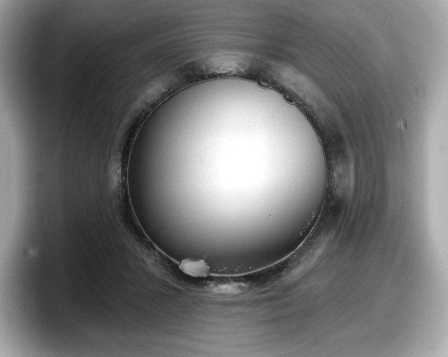 X0000098110407200804111059