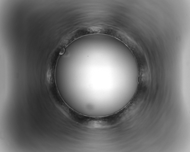 X0000098110408200804111059